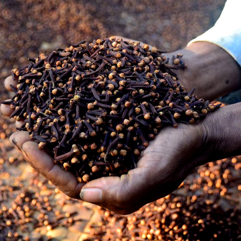 Fast Hair Growth Oil African Crazy Traction Alopecia Chebe Hair Mask anti Hair Break Hair Strengthener Hair Loss Treatment Spray